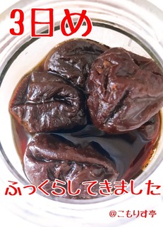 A1E55FF1-260E-4C36-AE7A-7FEFA3EFE8D6.jpeg